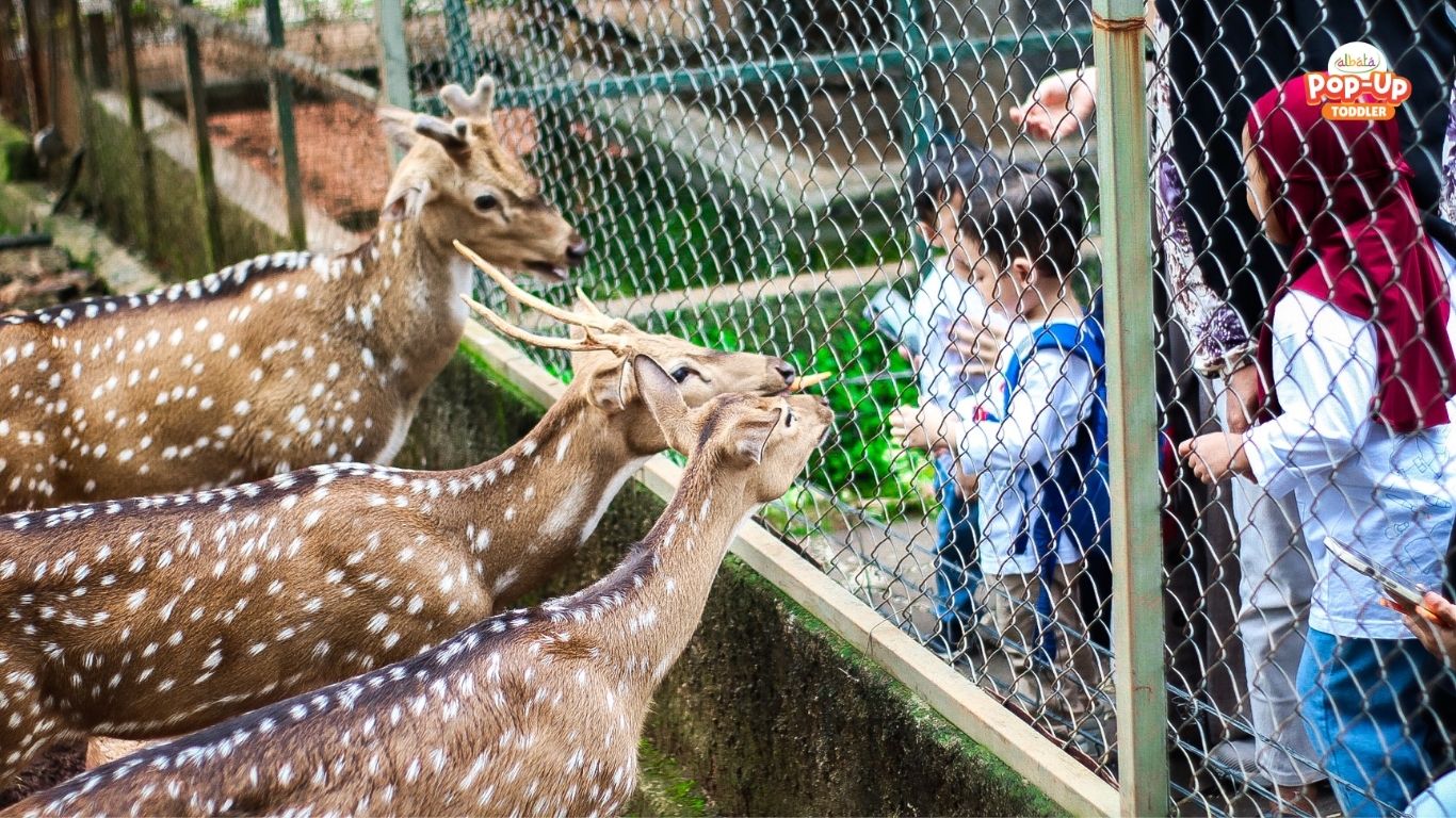 5 Kegiatan yang Cocok Untuk Anak di Field Trip Albata Bandar Kopi Jakarta 5 Kegiatan yang Cocok Untuk Anak di Field Trip Albata Bandar Kopi Jakarta